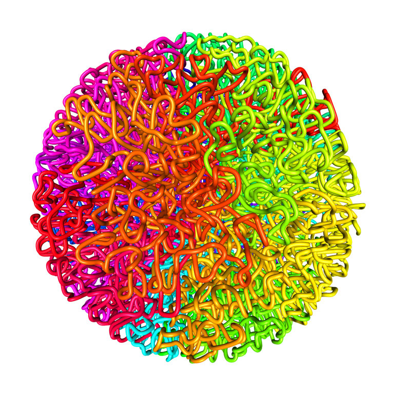 chromosomes shown as a fractal globule