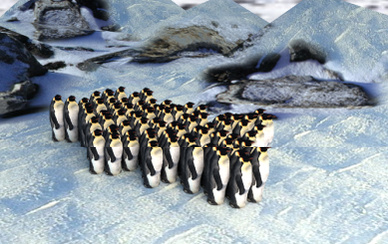 penguins tightly huddled together against the cold
